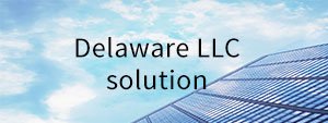 Delaware LLC solution cover