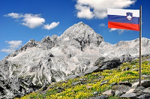 Slovenia business registration - pros and cons