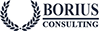 Borius consulting