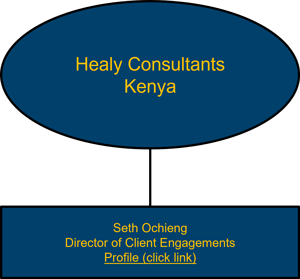 Healy Consultants Kenyaorganisational chart